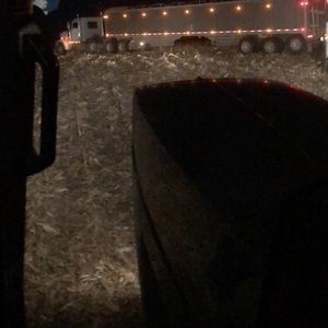 Meet your Posher, Beau